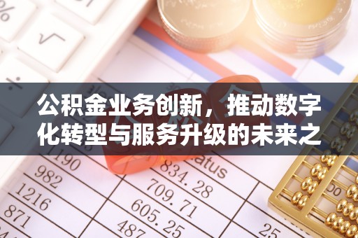 迪庆公积金业务创新，推动数字化转型与服务升级的未来之路