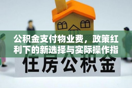 迪庆公积金支付物业费，政策红利下的新选择与实际操作指南