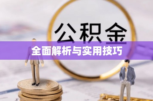 迪庆全面解析与实用技巧