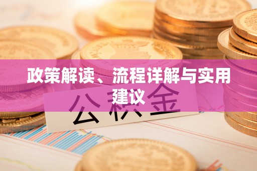 迪庆政策解读、流程详解与实用建议